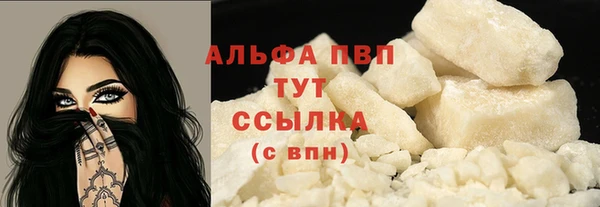 сатива Баксан