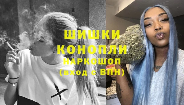 сатива Баксан