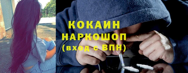сатива Баксан